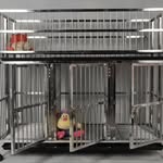 johnbreedingcages - @johnbreed - Instagram
