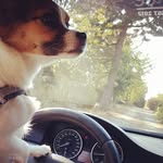 Johnbreedy - @johnbree_dy - Instagram