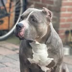 John Breen - @johnbreen1981 - Instagram
