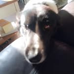 John Breen - @john.breen.3597 - Instagram
