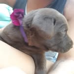 John Breitmeier - @john.breitmeier - Instagram