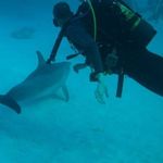 John Brenchley - @brenchley.john - Instagram