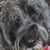 JB43517 - @john.brewer246 - TikTok
