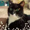 Johnbrewer👩🏻‍🤝‍👩🏼 - @bopdq78no4ba - TikTok