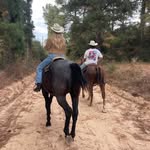 Johnny Brigandi - @johnnybrigandi - Instagram