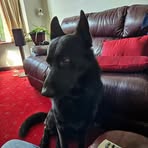 John Brindle - Facebook