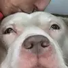 johnbrindle745 - @johnbrindle745 - TikTok