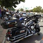 John Brink - @johnharleyloverbrink - Instagram
