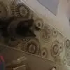 John Brink - @john.brink4 - TikTok