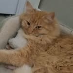 John Brisbois - @john_brisbois - Instagram