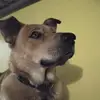 john brison - @john.brison - TikTok