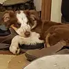 johnmbritton - @jb429350 - TikTok