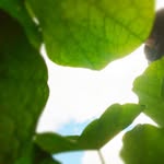 John Broadbent - @johnlbroadbent3 - Instagram