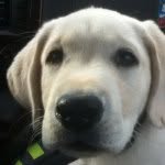 John Brock - @jjb480xbox - Instagram