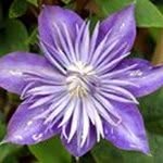 john broughton - @johnbroughton5860 - Instagram