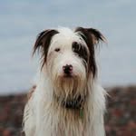 John Bruce - @johnbruce55 - Instagram