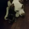 John Bruno - @john.bruno09 - TikTok
