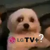 John_Bryan - @john_bryan44 - TikTok