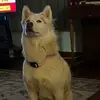 John Bryan - @john.bryan141 - TikTok
