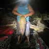 John Bryan - @john.bryan383 - TikTok
