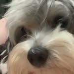 John Bryson - @john.bryson_2 - Instagram