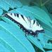 John Bryson - Facebook