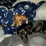 John Bucci - @johnbucci - Instagram