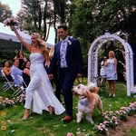 John Bucci - @jbooch25 - Instagram
