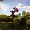 John Buckingham - @johnbuckingham7 - TikTok