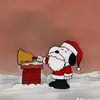 John Buckinham - @johnbuckinham - TikTok