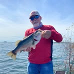 John Budd - Facebook