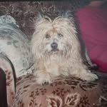 John Budd - @whoosh130734 - Instagram