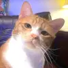 ianjohnbudlongsum - @ianjohnbudlongsum - TikTok
