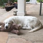 John Buffington - @jwbuffiv - Instagram
