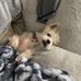 John Buffington - Facebook