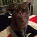 John Buffington - Facebook