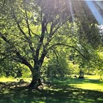 John Bunch - @therapist_bunch - Instagram