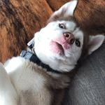 John Bundy - @alva_bunz - Instagram