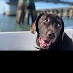 John Bundy - @jb_bundy4 - Instagram