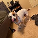 @john_bundy___ - Instagram
