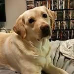 John Bunn - @bunnj10985 - Instagram