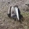 johnburkey7 - @john.burkey3 - TikTok
