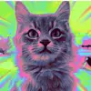 John Busch - @loki.the.clever - TikTok