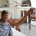 John Busch - Facebook
