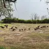 John Byrd - @john.byrd26 - TikTok