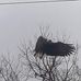 John Byrum - Facebook