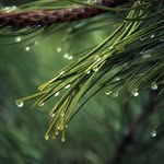 John calloway - @john12_412 - Instagram