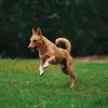 John Calloway - @john.calloway5 - TikTok