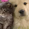 John Calloway - @john.calloway2 - TikTok