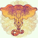 John Mc Calloway - @john_mccalloway - Instagram